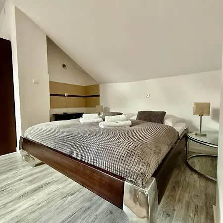 Easy Rent Apartments- Willa Alba Naleczow Exterior photo