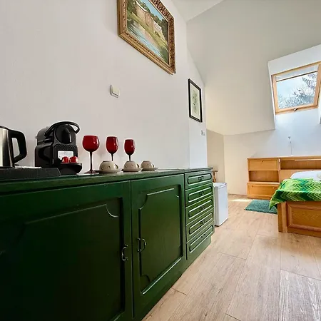 Easy Rent Apartments- Willa Alba Naleczow Exterior photo
